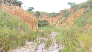 Tiefenlinienerosion im Eastern Cape, Südafrika